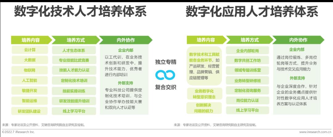 2022年企业数字化人才发展白皮书（下）-第3张图片-重庆中小企业培训机构